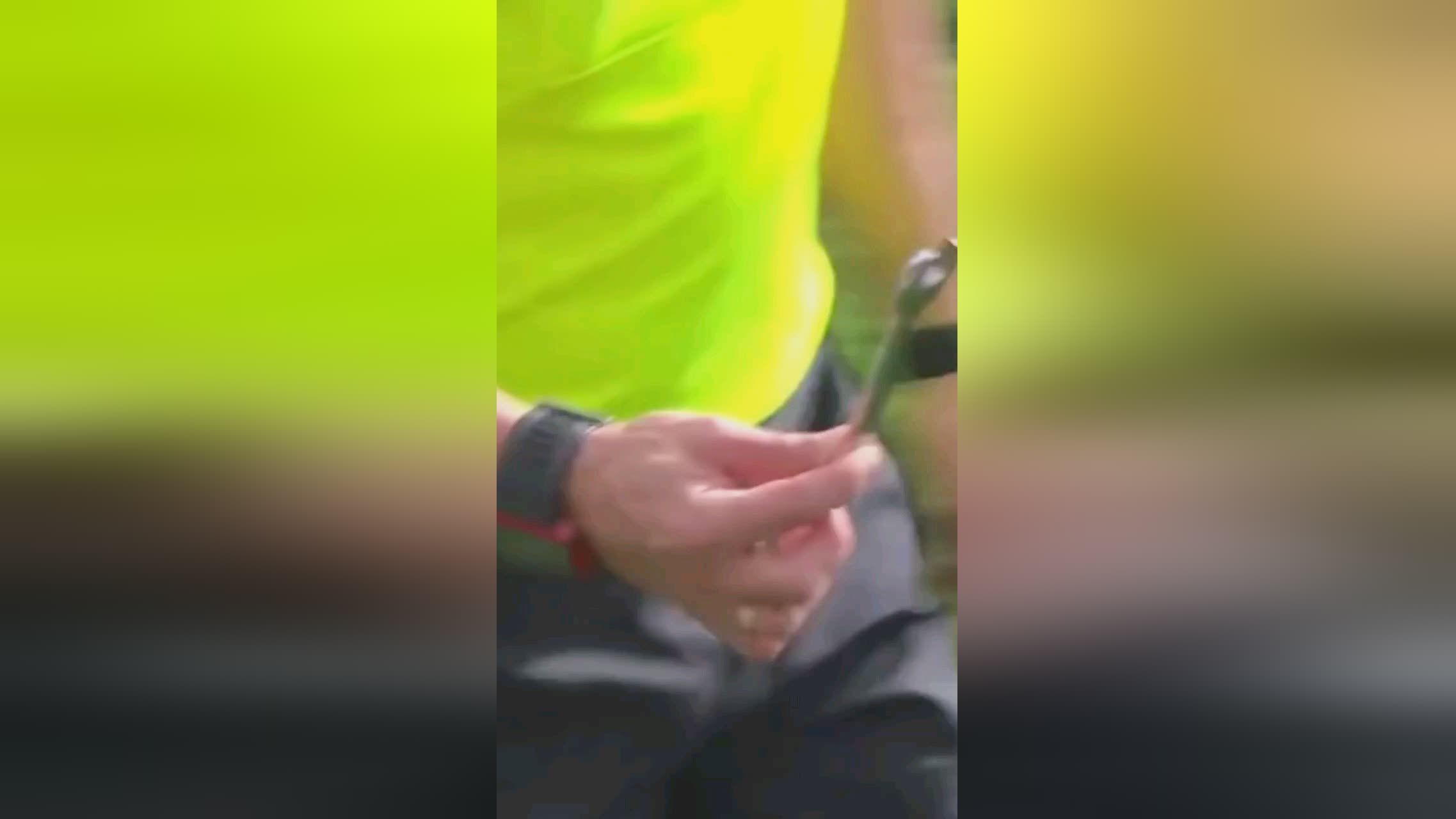 辉照耀